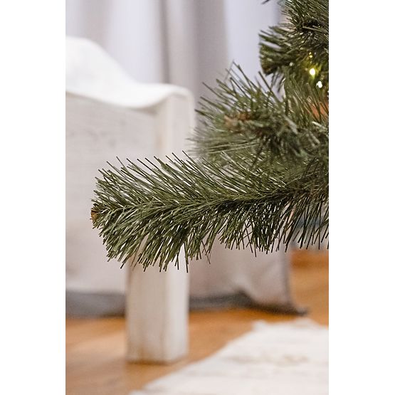 Vánoční stromek Jedle Amelia 180cm