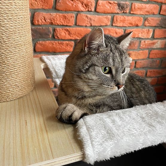 Velký škrabadlo pro kočky Béžový 255-265cm P70503