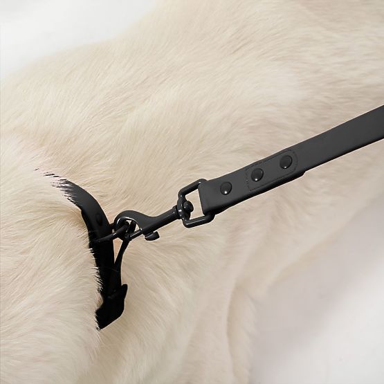 Vodítko a obojek pro psa PJ-071 černá M