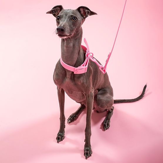 Vodítko a obojek pro psa PJ-072 růžová M
