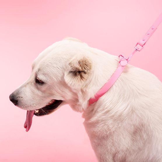 Vodítko a obojek pro psa PJ-076 růžová L