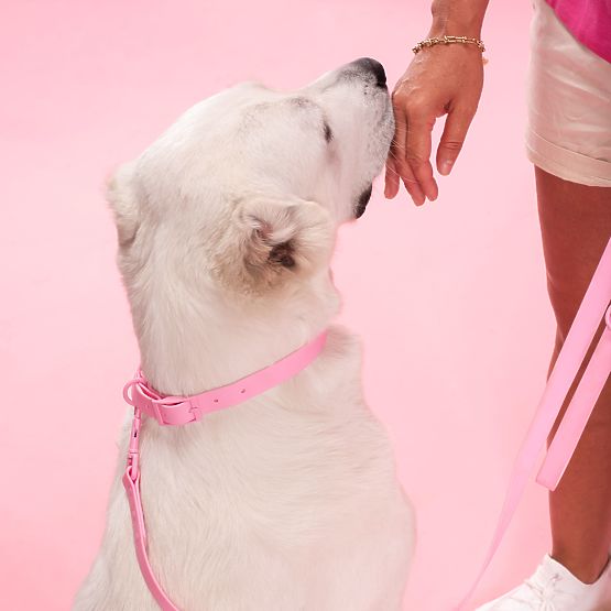 Vodítko a obojek pro psa PJ-076 růžová L