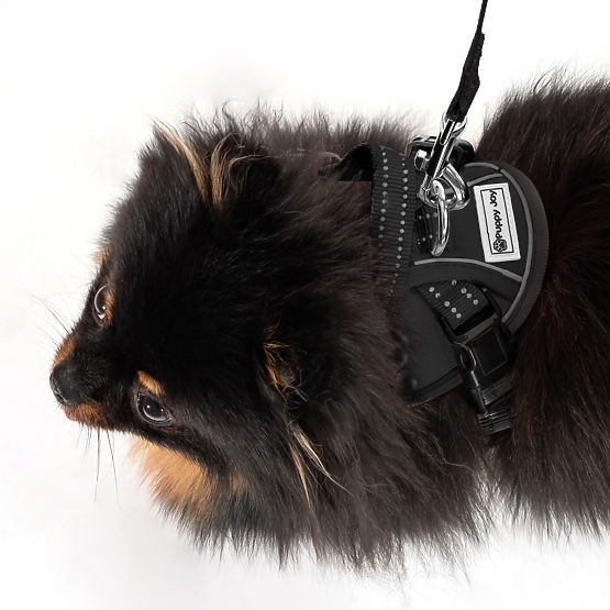 Vodítko a postroj pro psa PJ-047 černá XS