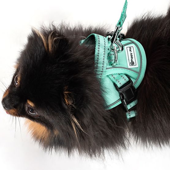 Vodítko a postroj pro psa PJ-049 zelená XS