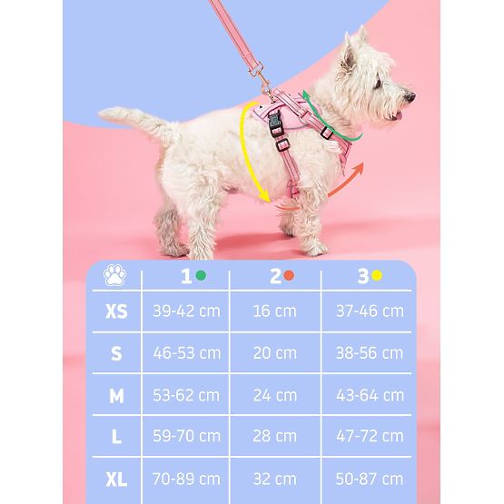 Vodítko a postroj pro psa PJ-050 modrá XS