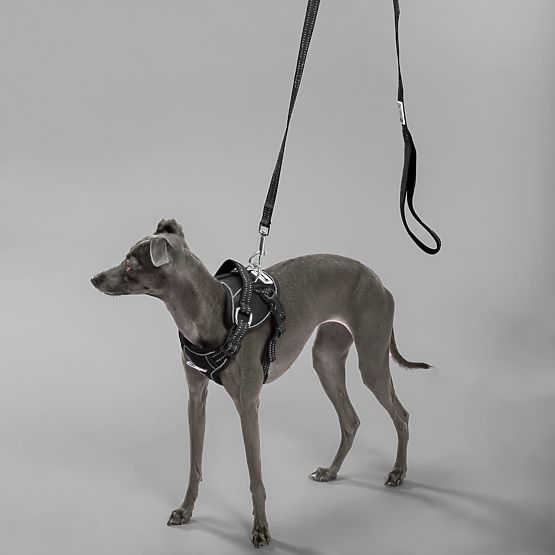 Vodítko a postroj pro psa PJ-051 černá S