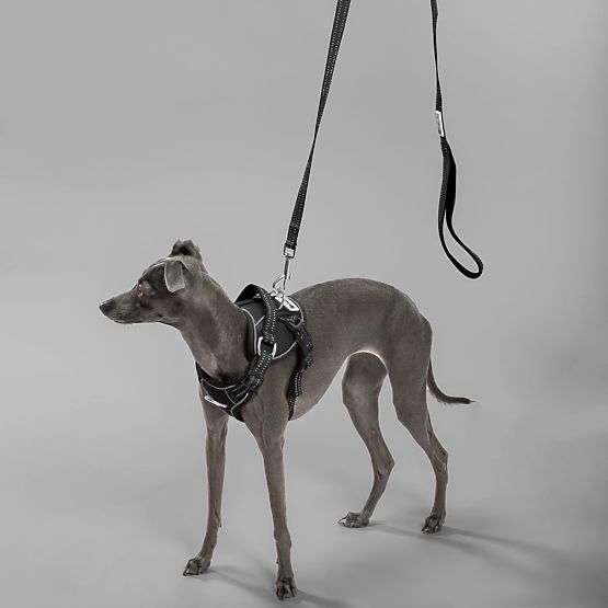 Vodítko a postroj pro psa PJ-055 černá M