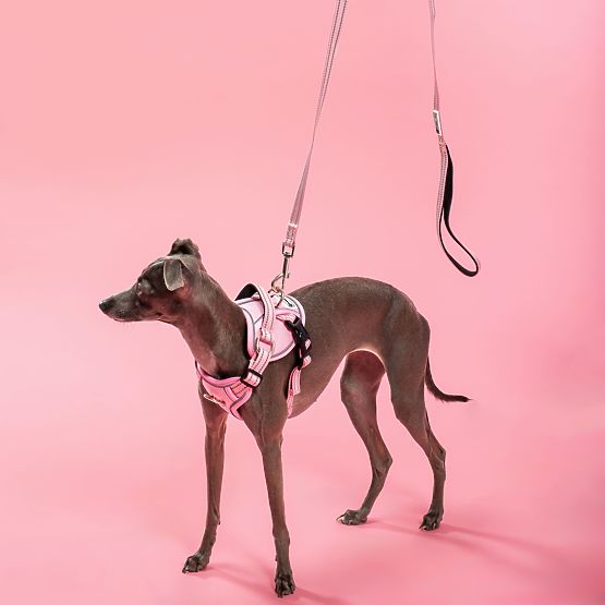 Vodítko a postroj pro psa PJ-056 růžová M