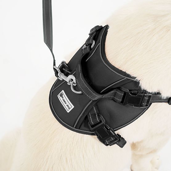 Vodítko a postroj pro psa PJ-059 černá L