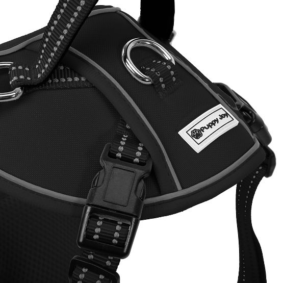 Vodítko a postroj pro psa PJ-059 černá L