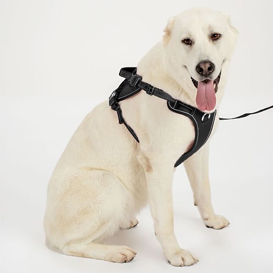 Vodítko a postroj pro psa PJ-063 černá XL