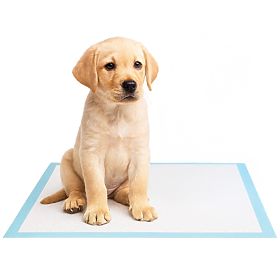 Hygienické podložky pro zvířata BARRY 50 ks