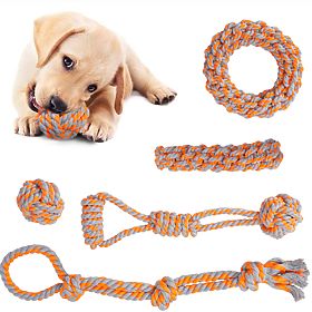 Sada přetahovacích hraček pro psy SPANKY 5 kusů