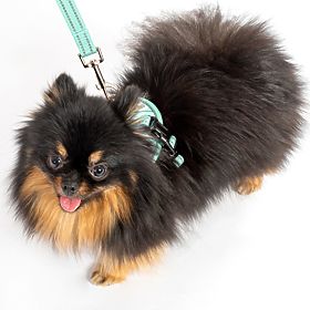 Vodítko a postroj pro psa PJ-049 zelená XS, PuppyJoy