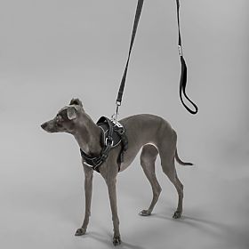 Vodítko a postroj pro psa PJ-055 černá M