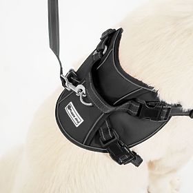 Vodítko a postroj pro psa PJ-063 černá XL, PuppyJoy